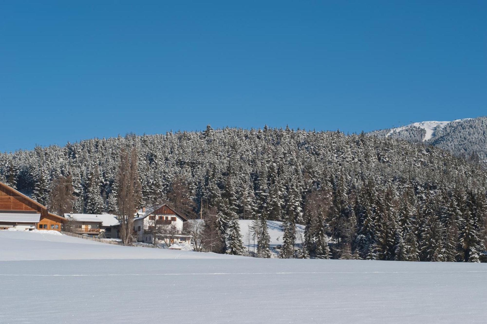 Unterpfaffstall-Hof Collalbo Dış mekan fotoğraf